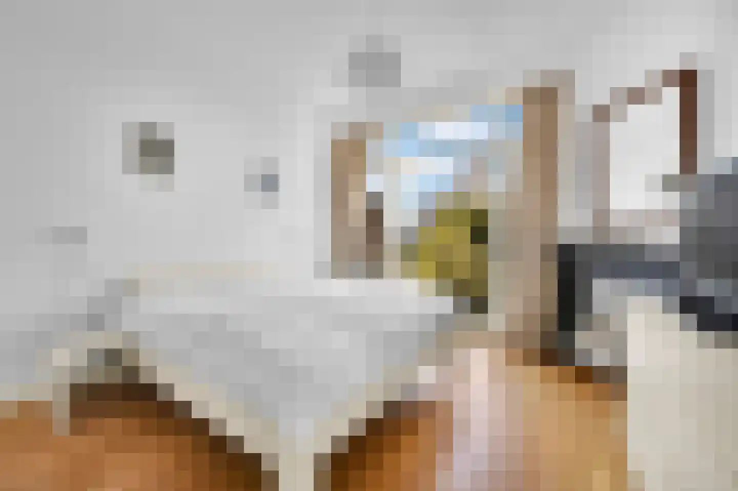 Nassaukade 18 Rijswijk thumbnail 26