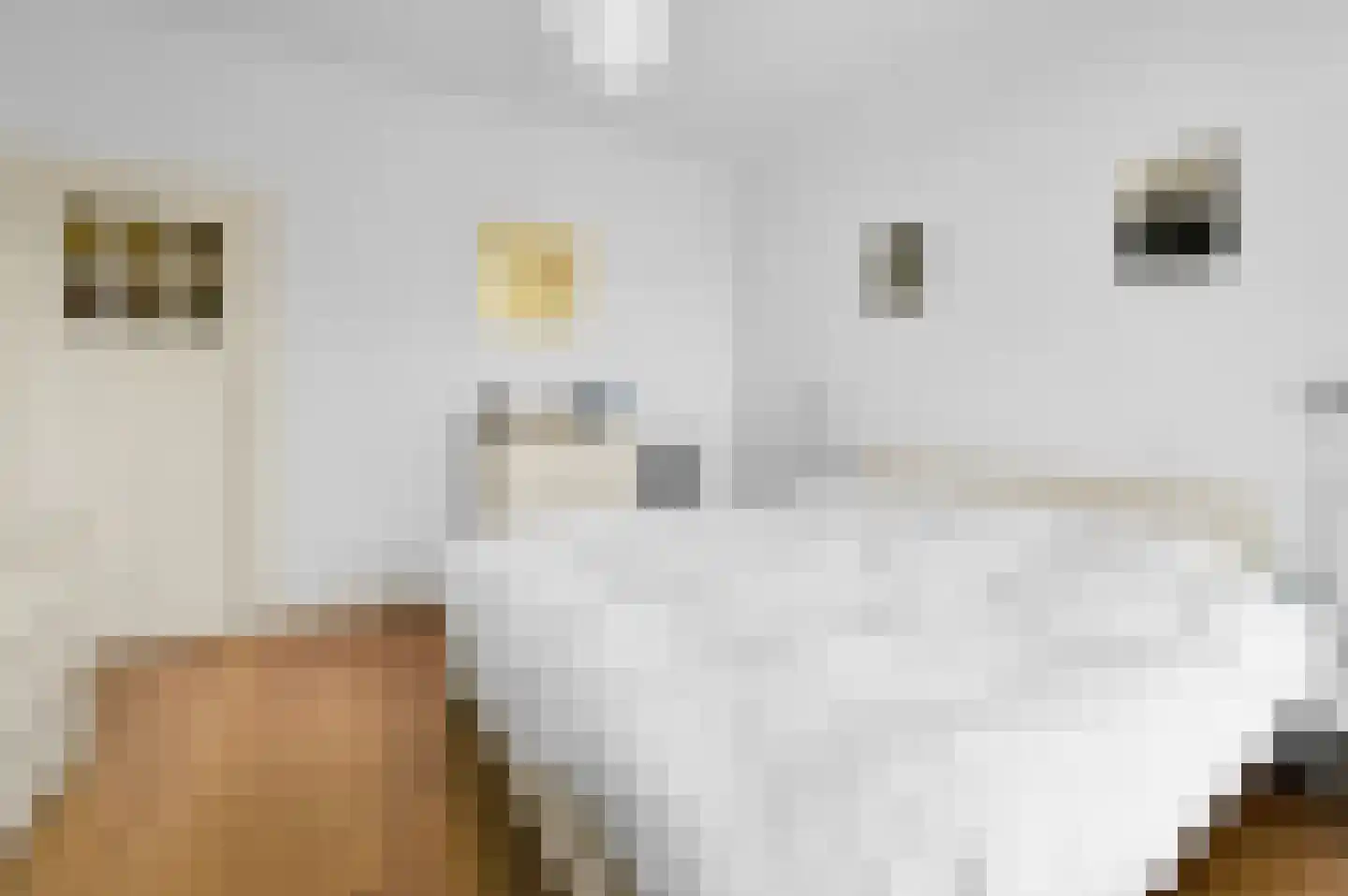 Nassaukade 18 Rijswijk thumbnail 27