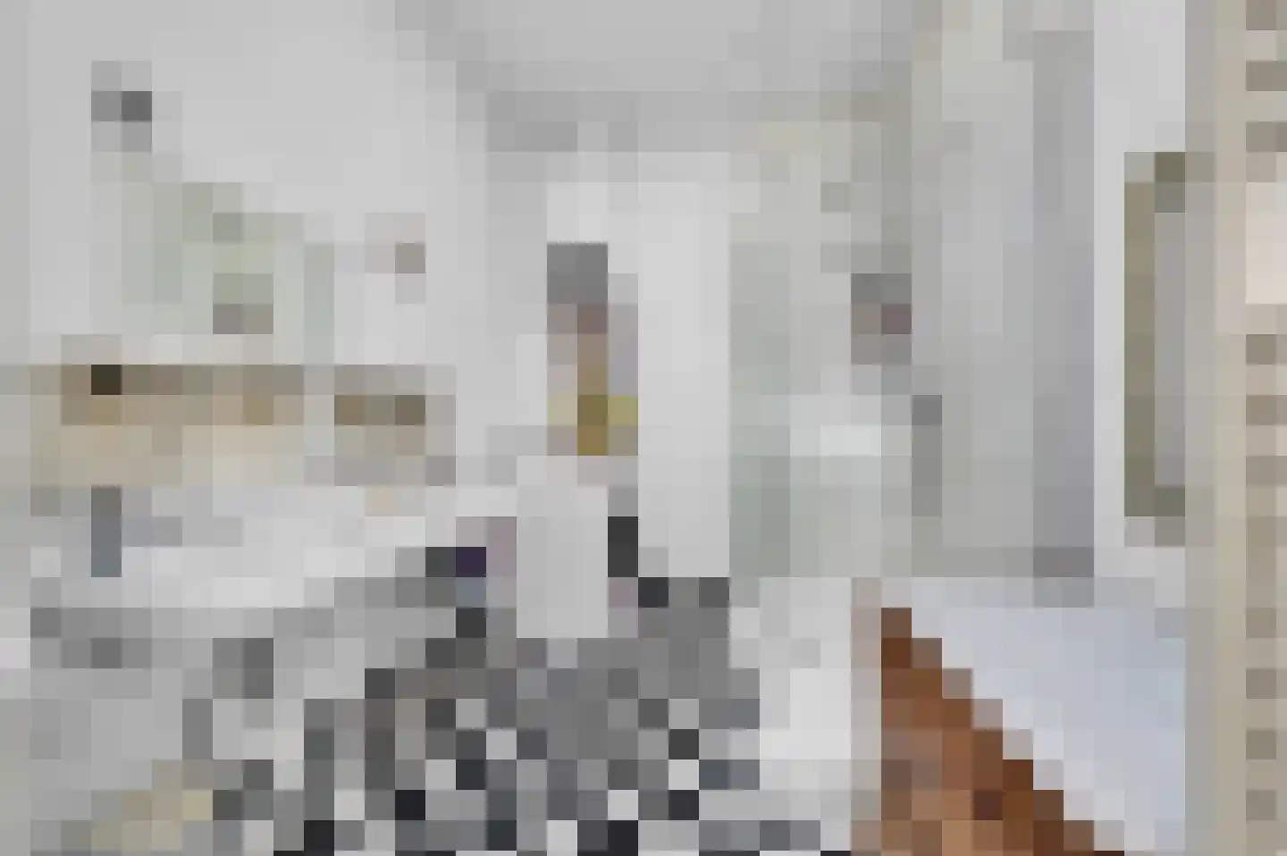 Nassaukade 18 Rijswijk thumbnail 31