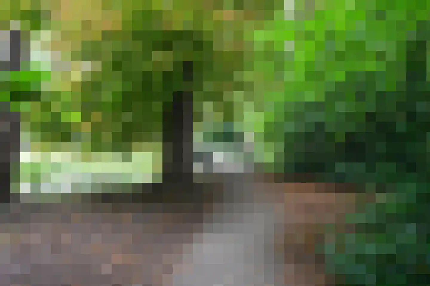 Nassaukade 18 Rijswijk thumbnail 46