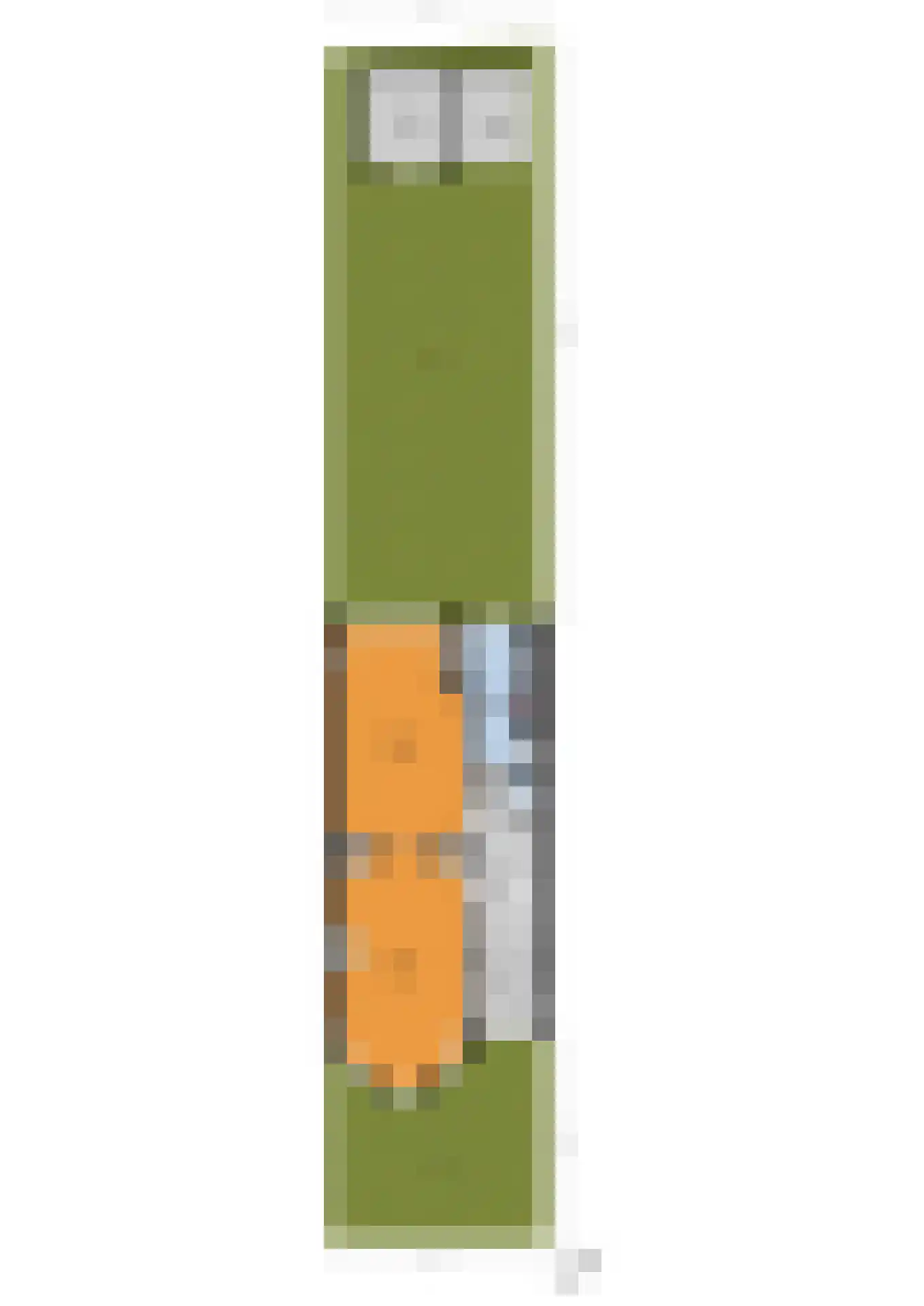 Nassaukade 18 Rijswijk thumbnail 53