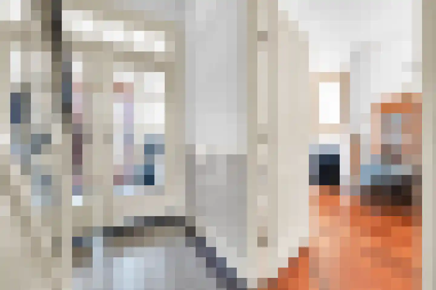 Nassaukade 18 Rijswijk thumbnail 6