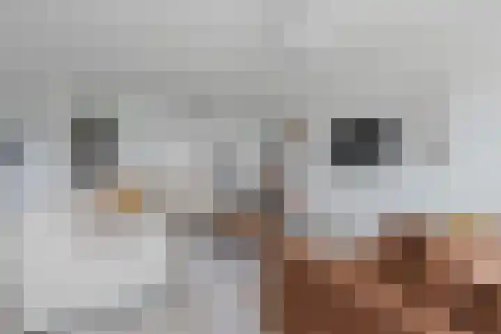 Nassaukade 20 X Rotterdam thumbnail 10