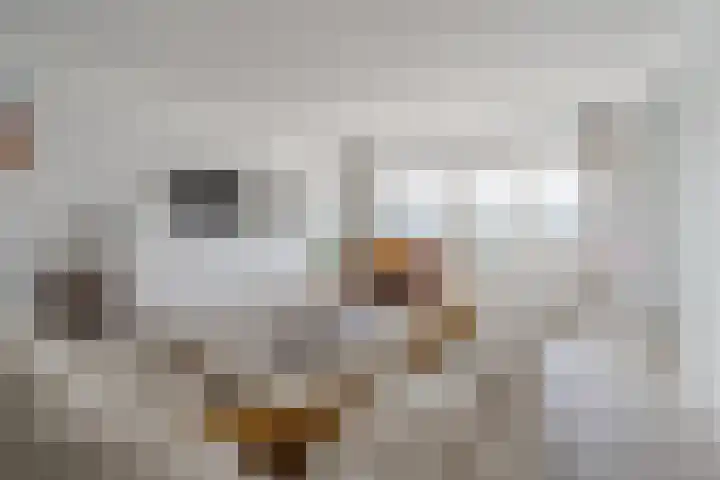 Nassaukade 20 X Rotterdam thumbnail 12