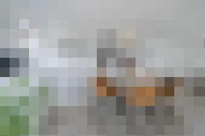 Nassaukade 20 X Rotterdam thumbnail 16