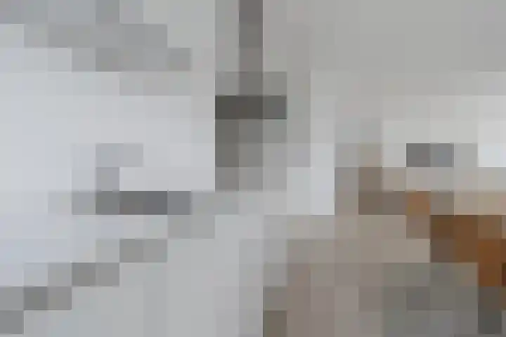Nassaukade 20 X Rotterdam thumbnail 17