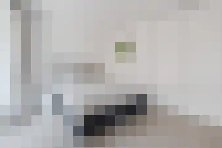 Nassaukade 20 X Rotterdam thumbnail 34