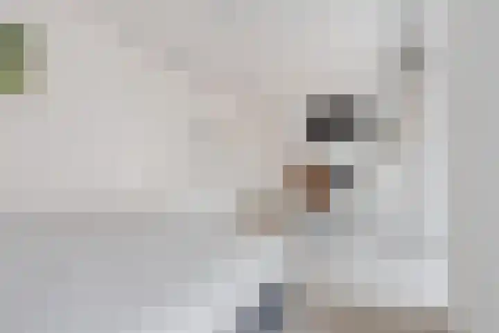 Nassaukade 20 X Rotterdam thumbnail 35