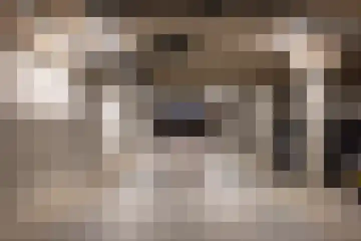 Nassaukade 20 X Rotterdam thumbnail 38