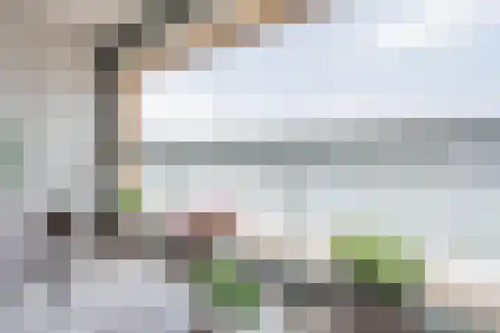 Nassaukade 20 X Rotterdam thumbnail 41