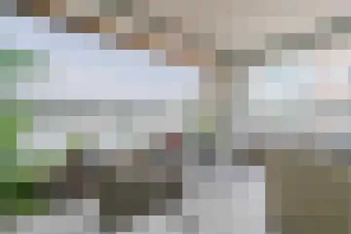 Nassaukade 20 X Rotterdam thumbnail 43