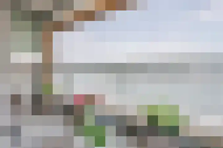 Nassaukade 20 X Rotterdam thumbnail 45