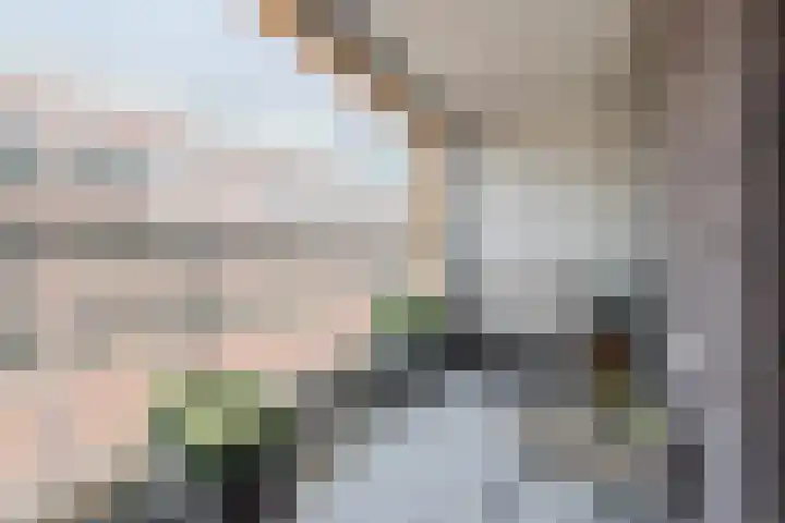 Nassaukade 20 X Rotterdam thumbnail 46