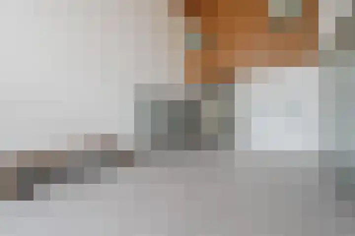 Nassaukade 20 X Rotterdam thumbnail 5