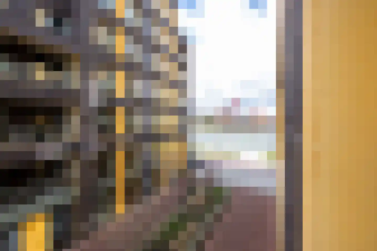 Nassaukade 21 G Rotterdam thumbnail 10