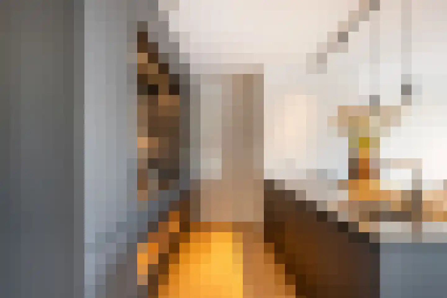 Nassaukade 21 G Rotterdam thumbnail 21