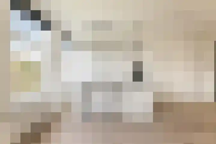 Nassaukade 23 3 Amsterdam thumbnail 11
