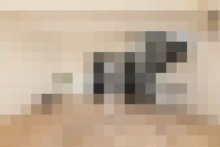 Nassaukade 23 3 Amsterdam thumbnail 27