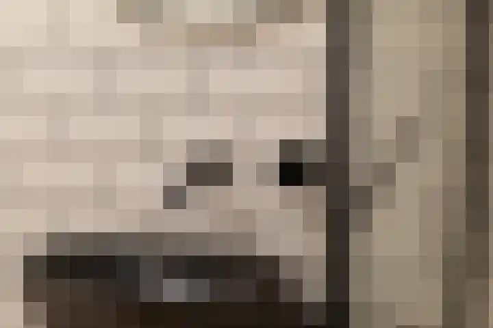 Nassaukade 23 3 Amsterdam thumbnail 33