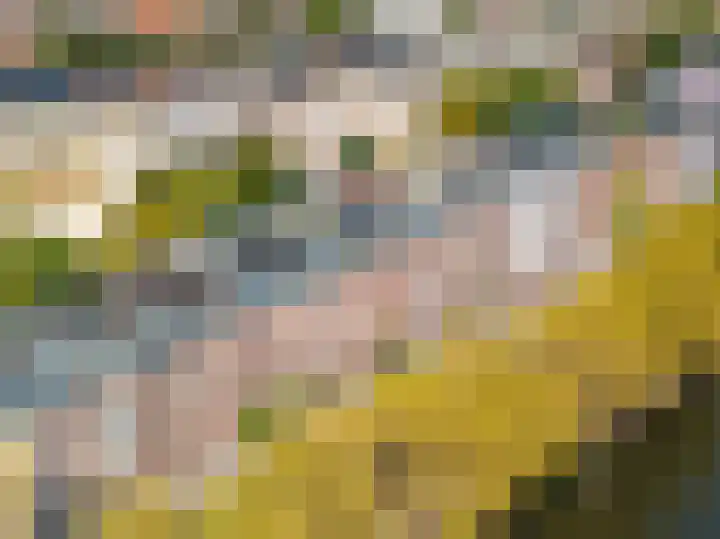 Nassaukade 23 3 Amsterdam thumbnail 39