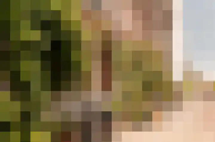 Nassaukade 23 3 Amsterdam thumbnail 41