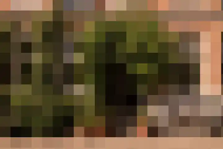 Nassaukade 23 3 Amsterdam thumbnail 7