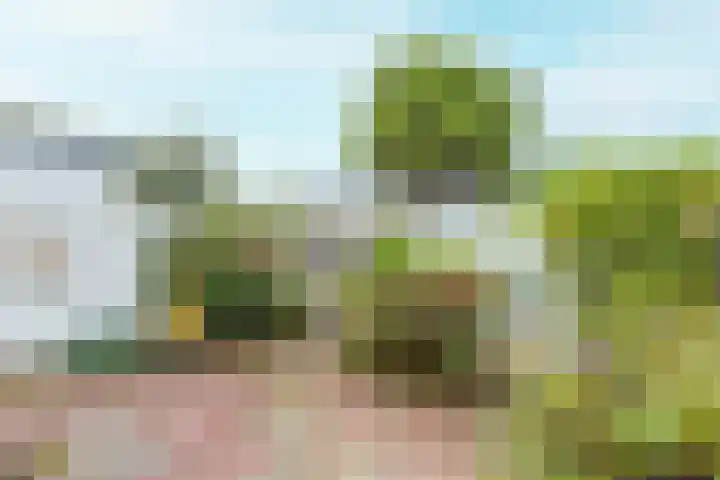 Nassaukade 25 Rijswijk thumbnail 16