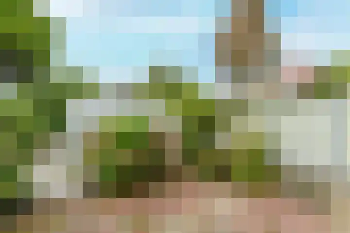 Nassaukade 25 Rijswijk thumbnail 17