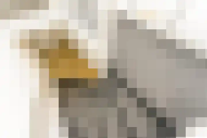 Nassaukade 25 Rijswijk thumbnail 20