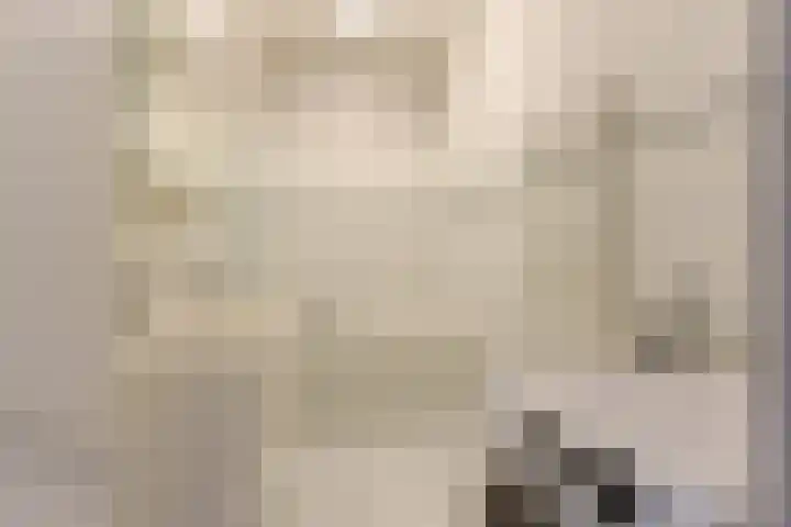 Nassaukade 25 Rijswijk thumbnail 24