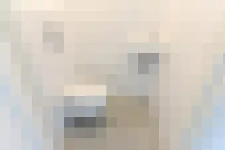 Nassaukade 25 Rijswijk thumbnail 37
