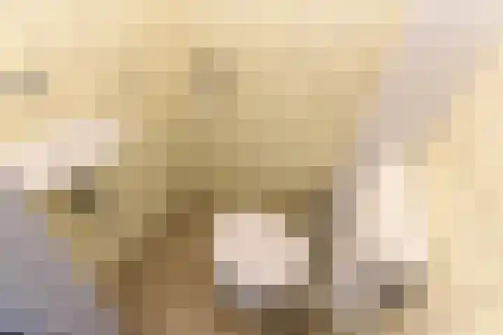 Nassaukade 25 Rijswijk thumbnail 44