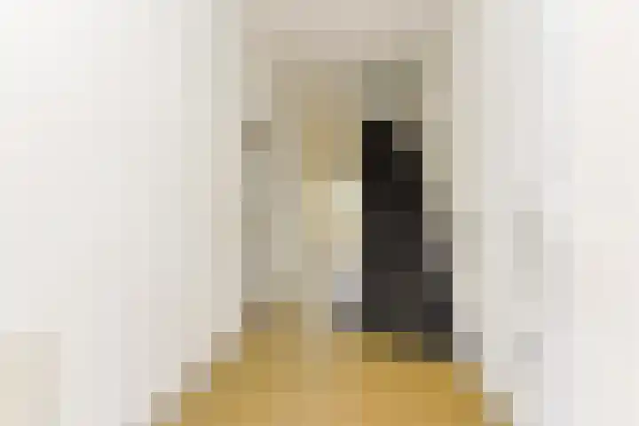 Nassaukade 25 Rijswijk thumbnail 5