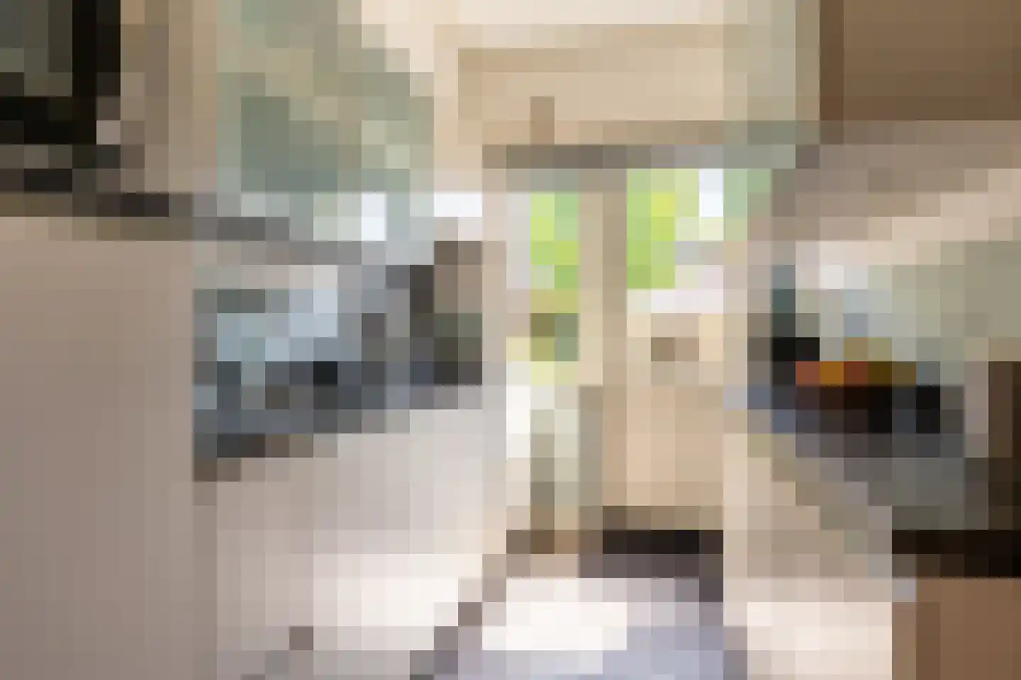 Nassaukade 3 Schoonhoven thumbnail 15