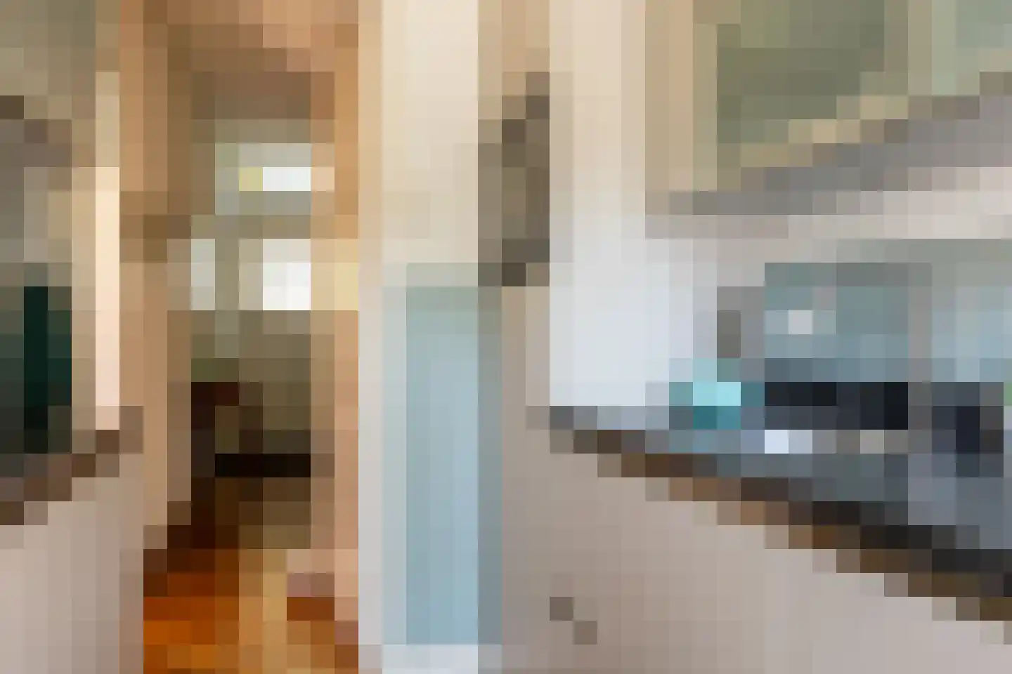 Nassaukade 3 Schoonhoven thumbnail 17