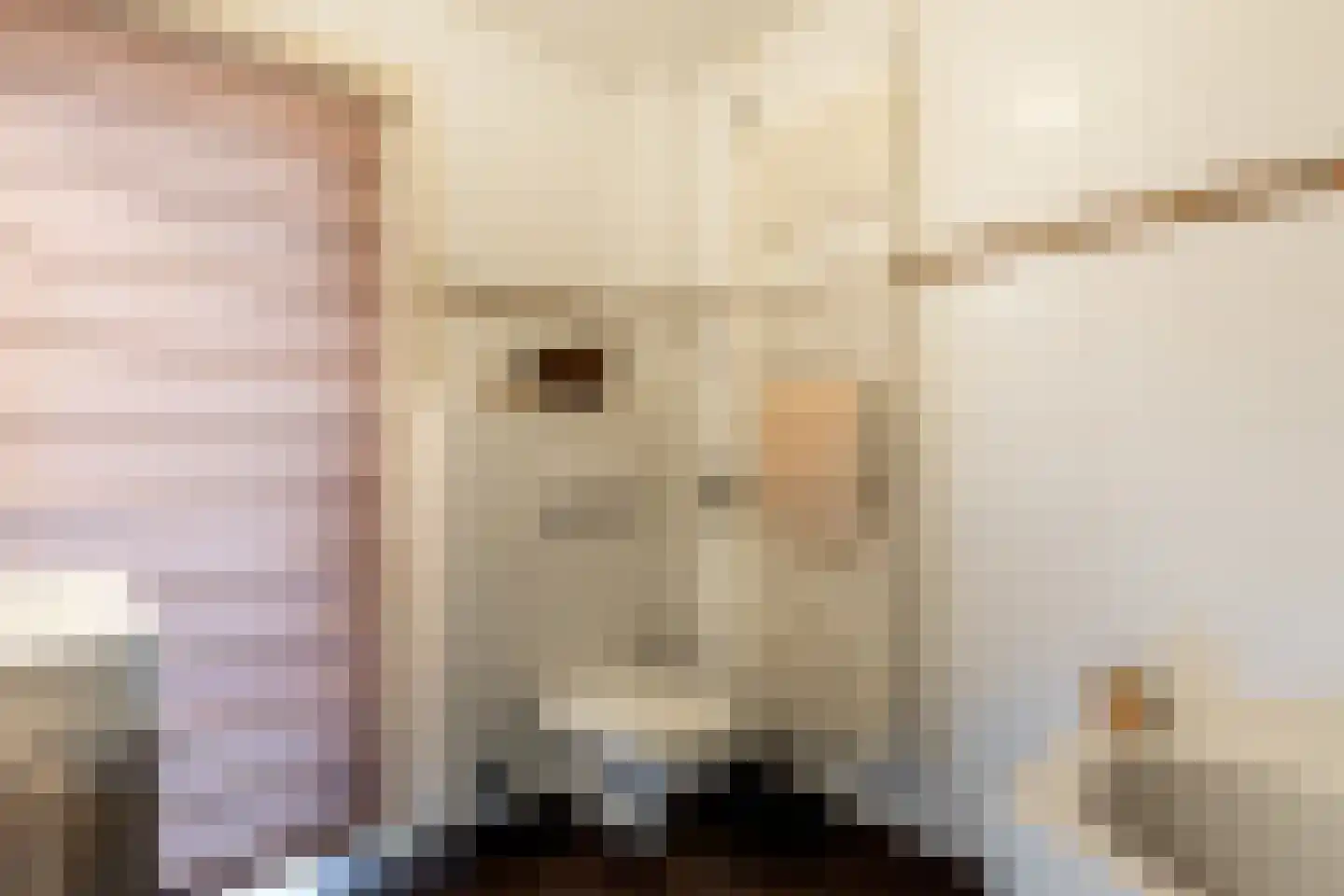 Nassaukade 3 Schoonhoven thumbnail 22