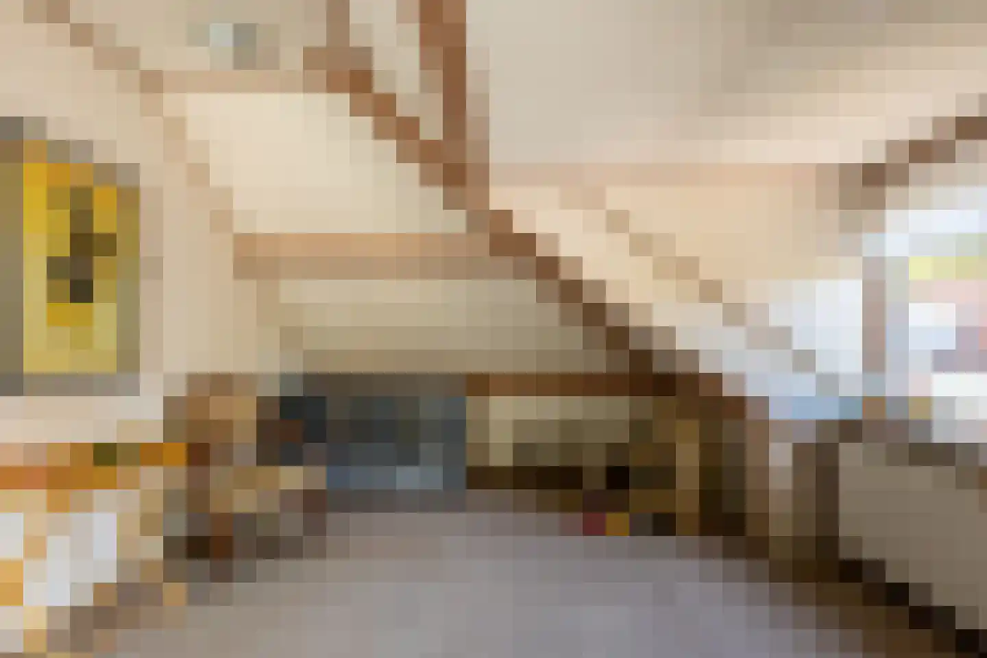 Nassaukade 3 Schoonhoven thumbnail 40