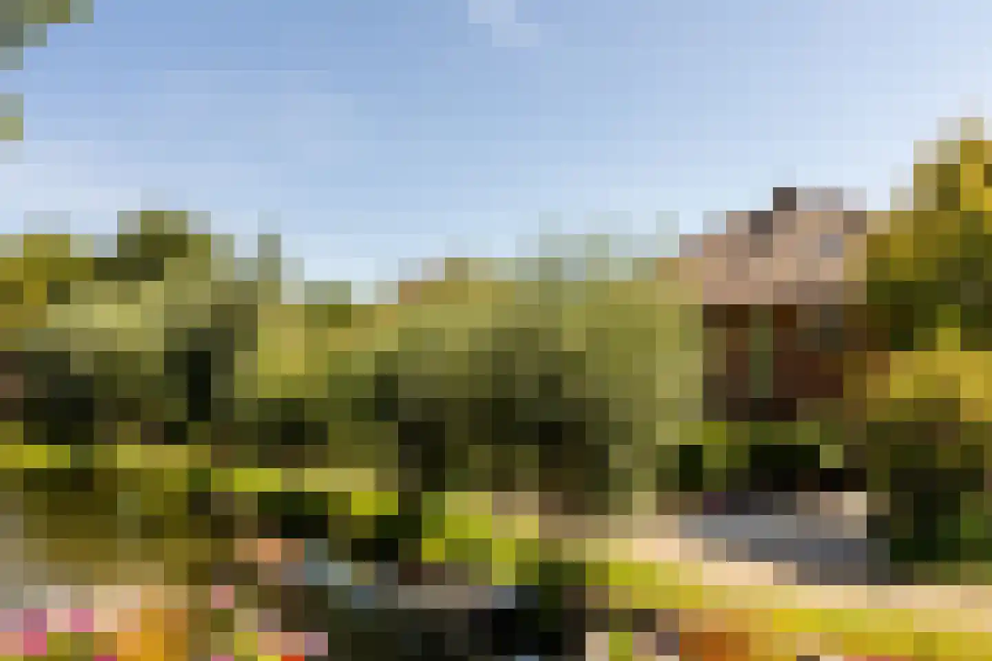 Nassaukade 3 Schoonhoven thumbnail 60