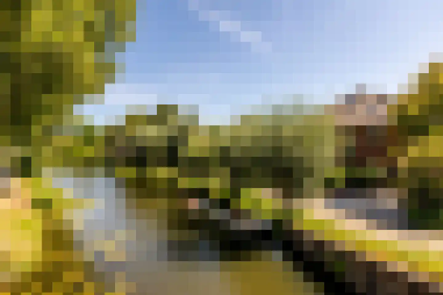 Nassaukade 3 Schoonhoven thumbnail 61