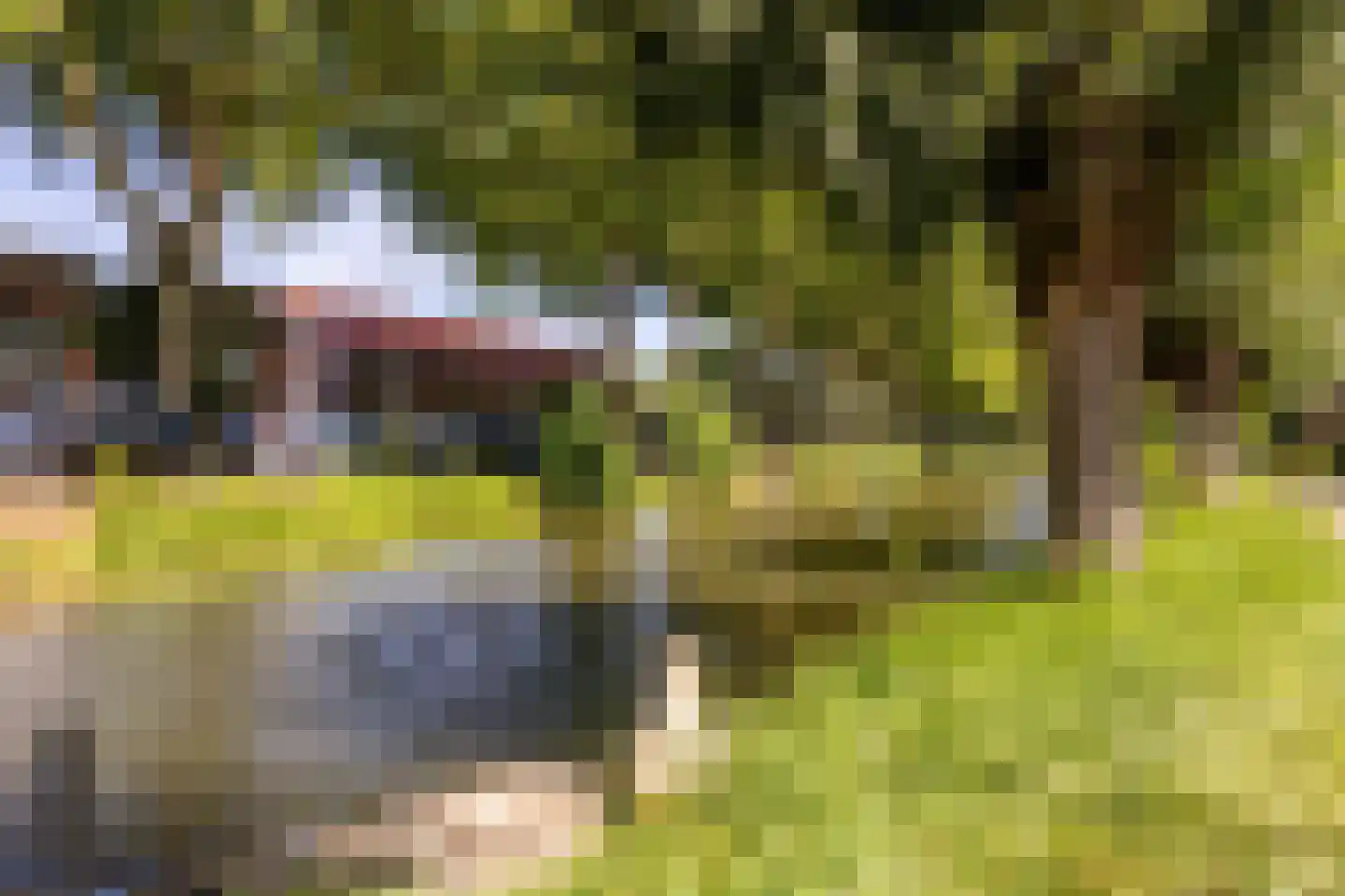 Nassaukade 3 Schoonhoven thumbnail 62