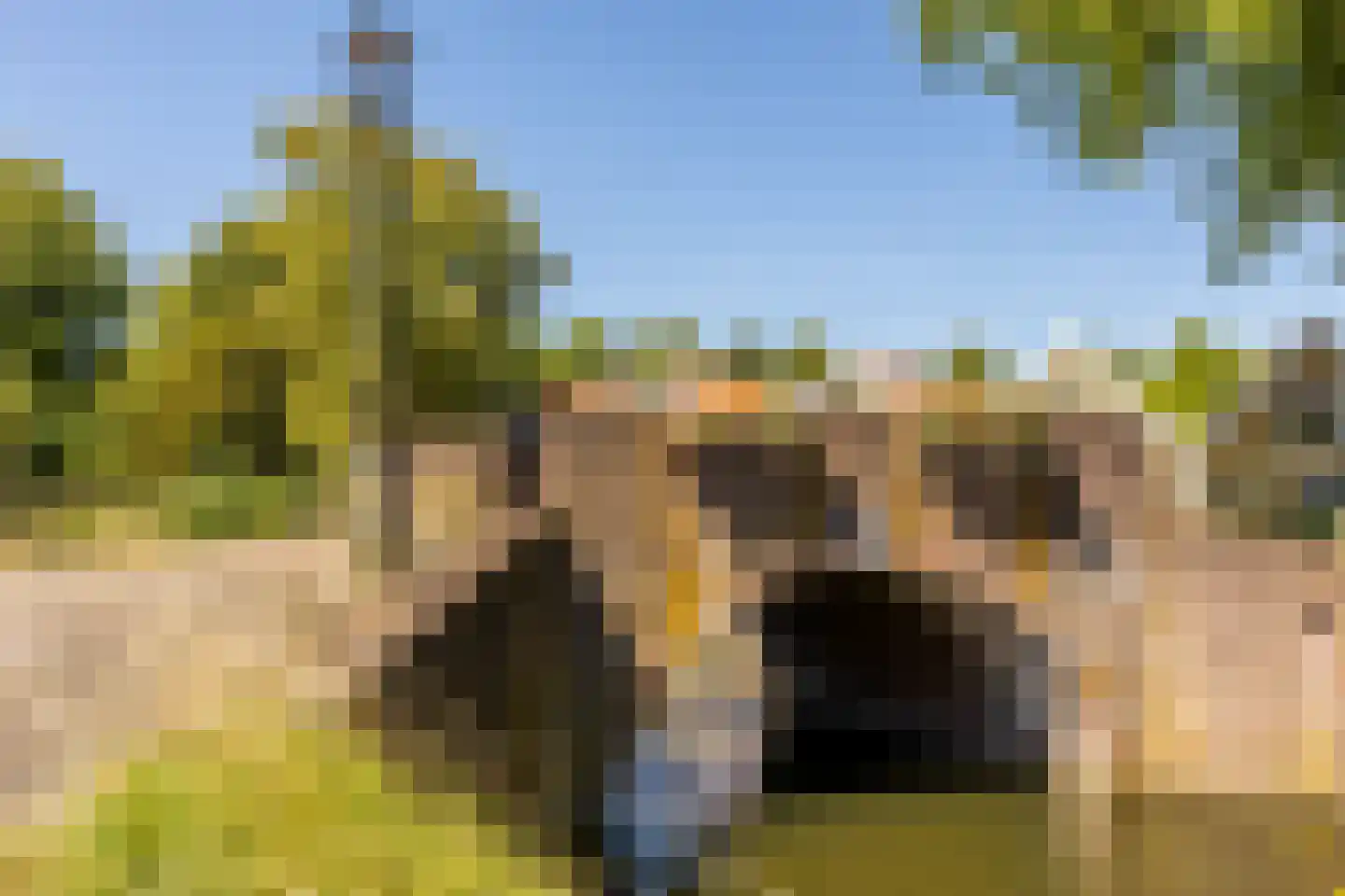 Nassaukade 3 Schoonhoven thumbnail 63