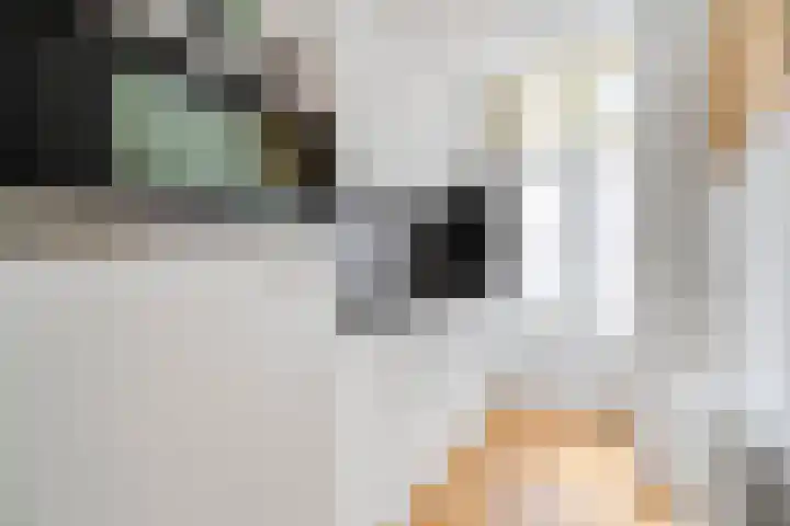 Nassaukade 301 3 Amsterdam thumbnail 11