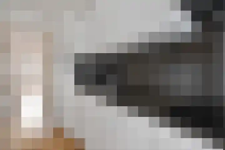 Nassaukade 301 3 Amsterdam thumbnail 12
