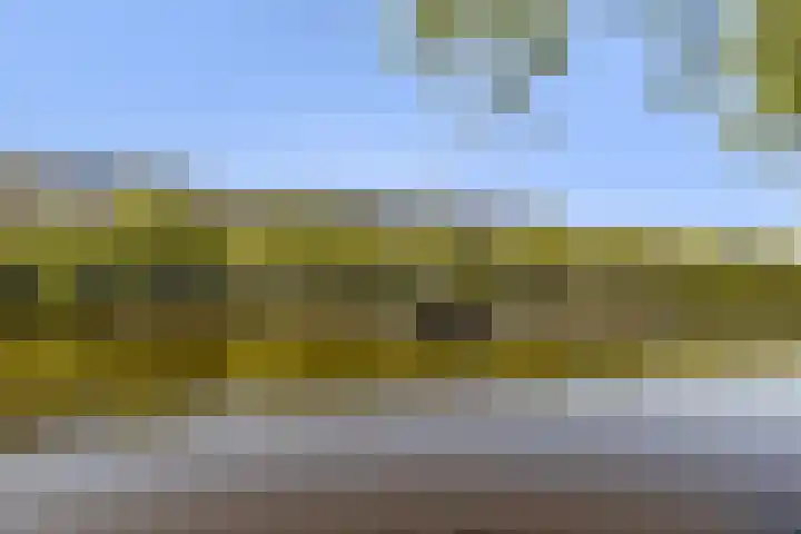 Nassaukade 301 3 Amsterdam thumbnail 24