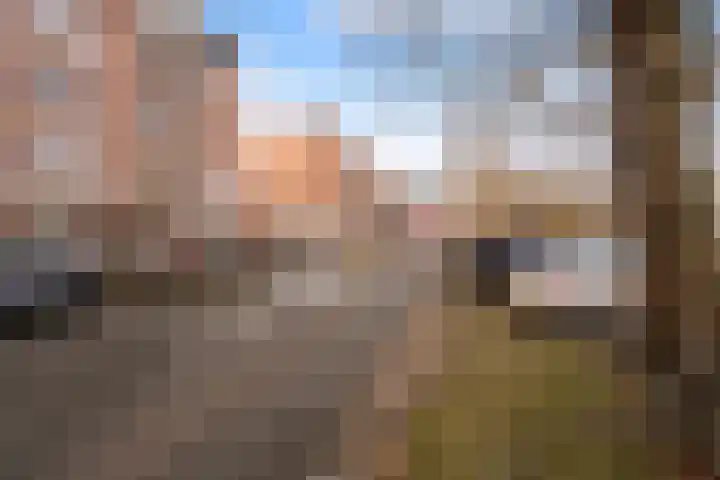 Nassaukade 301 3 Amsterdam thumbnail 26
