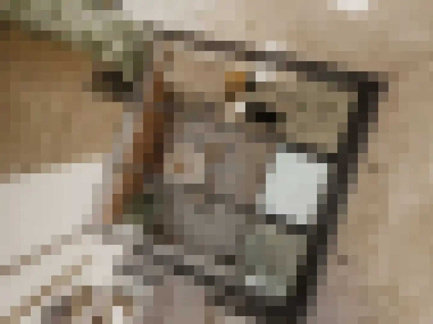 Nassaukade 301 H Amsterdam thumbnail 9