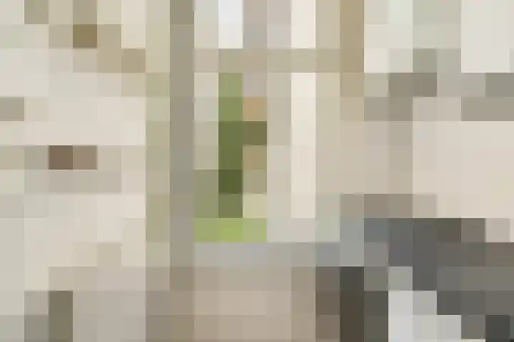 Nassaukade 302 4 Amsterdam thumbnail 15