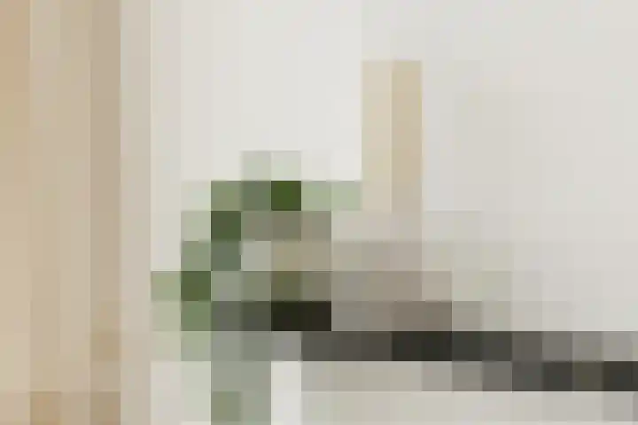 Nassaukade 302 4 Amsterdam thumbnail 19