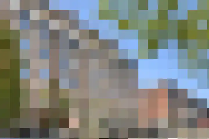 Nassaukade 302 4 Amsterdam thumbnail 23