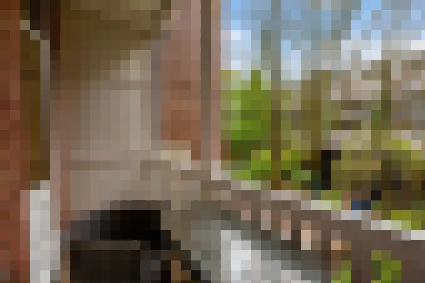 Nassaukade 306 1 Amsterdam thumbnail 23